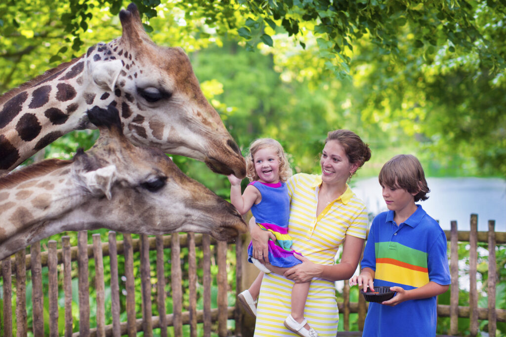 What Happens if I Get Injured at Bayou Wildlife Zoo in Galveston County, TX?